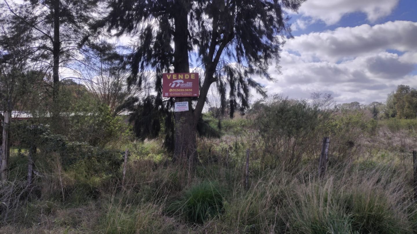 Lote en CALIFORNIA 1700
