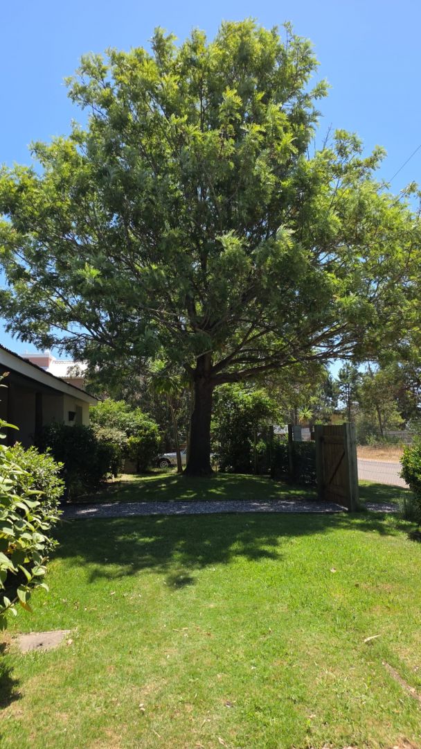 Casa EN ALQUILER TEMPORARIO