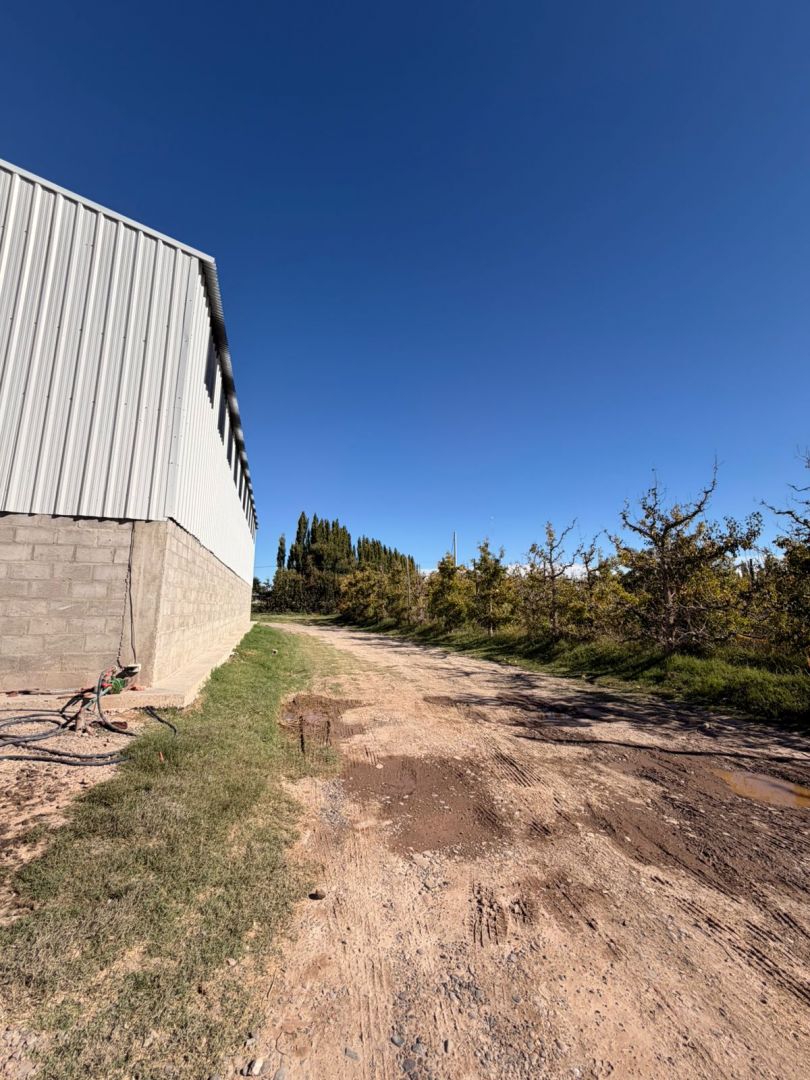 Galpon en Alquiler en Fernandez Oro, Rio Negro