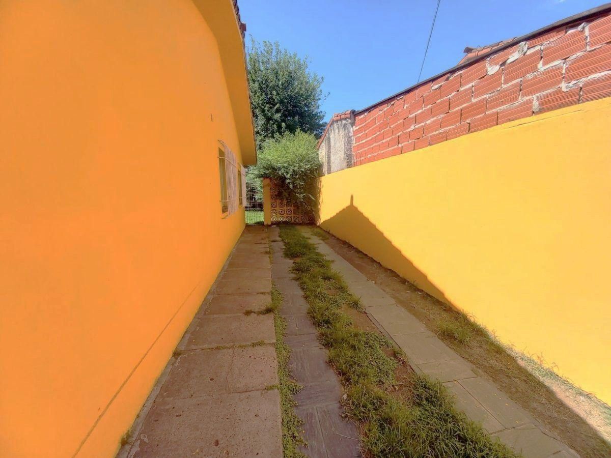 Imagen 10