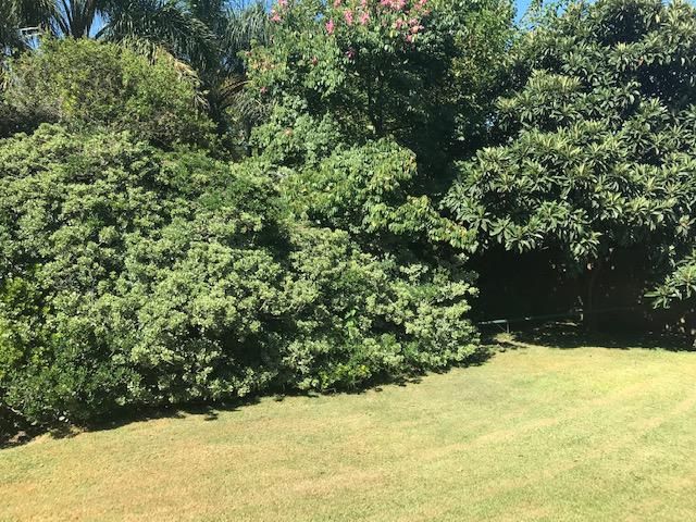 VENTA DE QUINTA EN G.B.A. Zona Sur - San Vicente - 47
