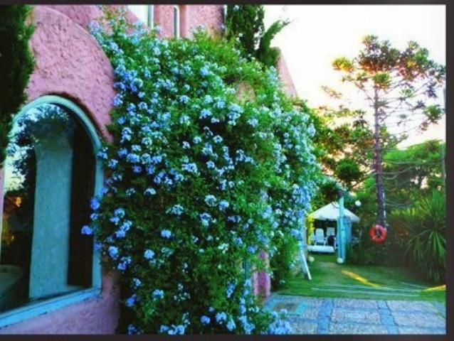 Casa EN ALQUILER TEMPORARIO