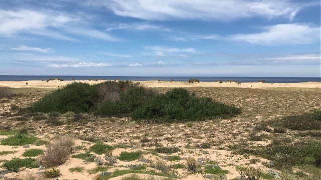 Lote EN VENTA