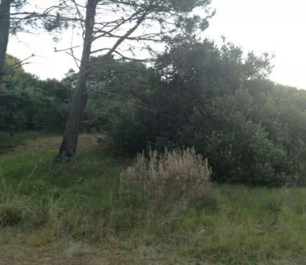 Lote EN VENTA