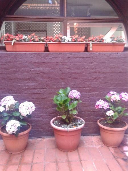 Departamento EN ALQUILER TEMPORARIO