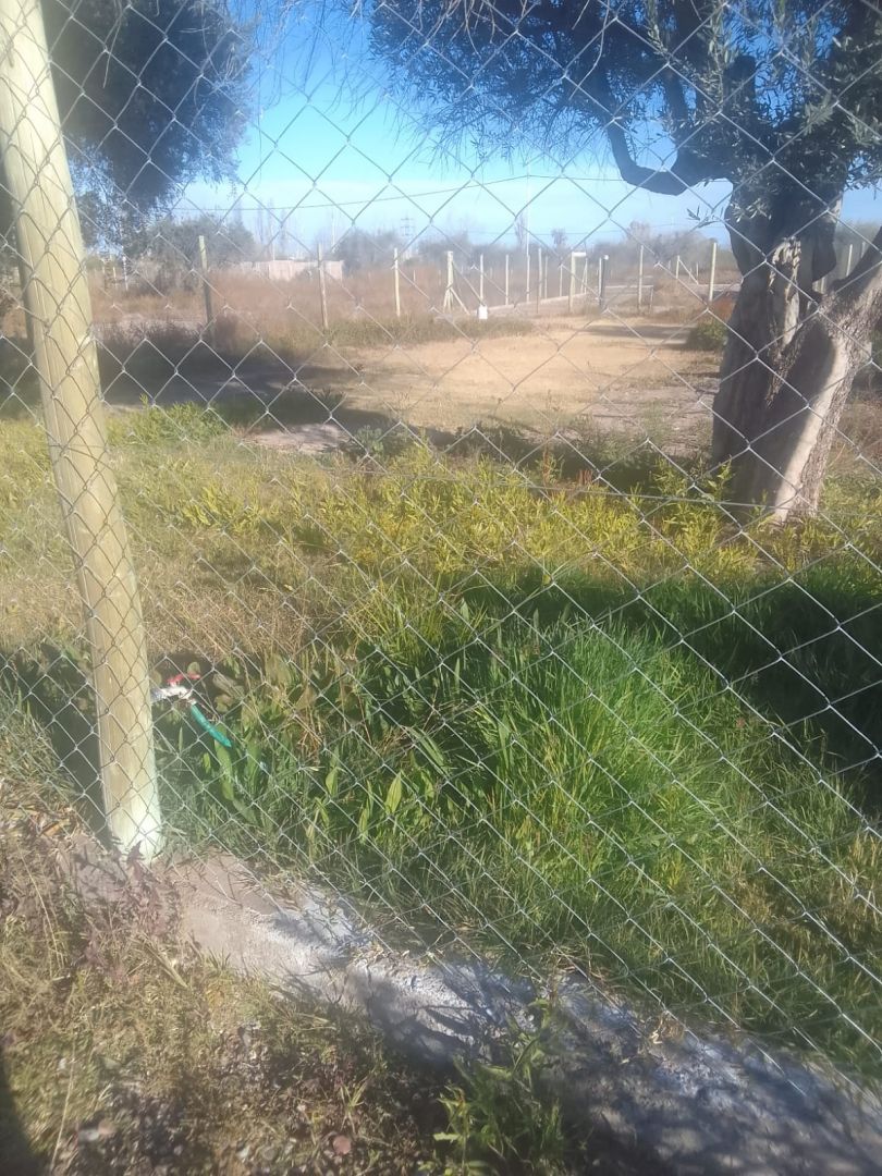 Lote en Venta en Lujan de Cuyo, Mendoza
