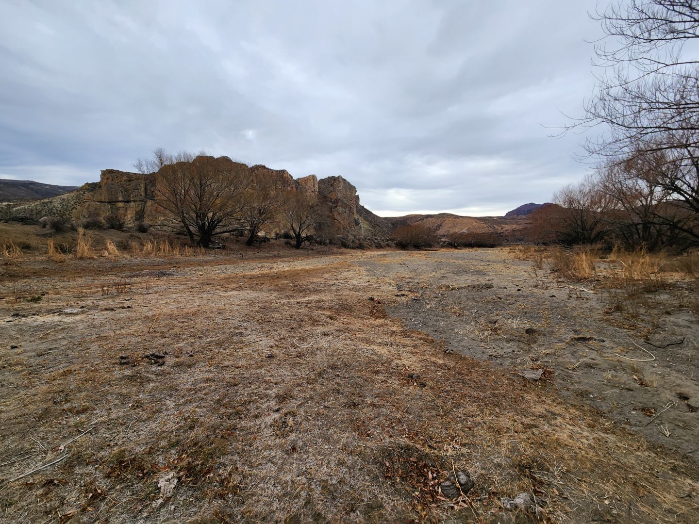 Campo EN VENTA