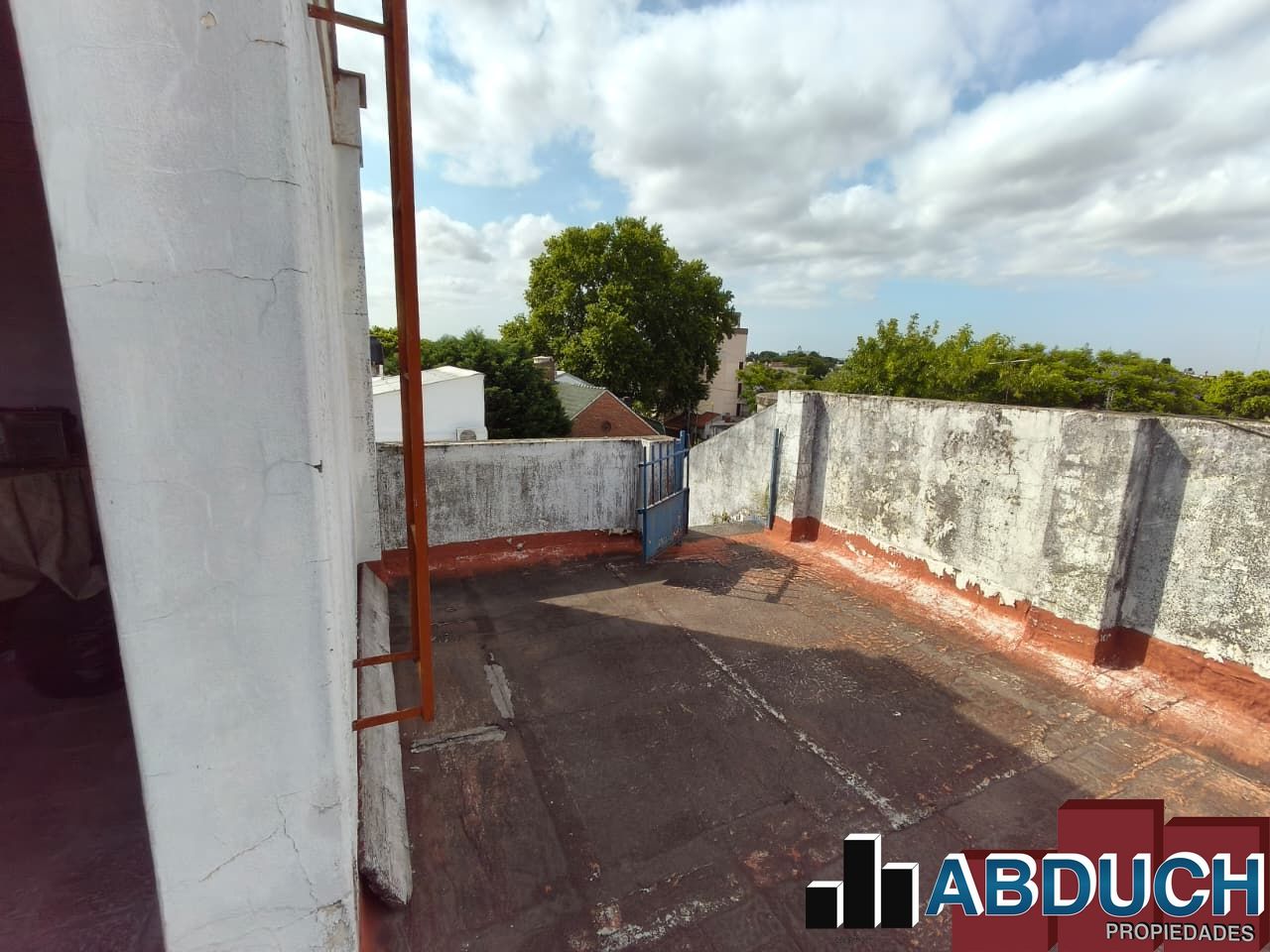 Imagen 23