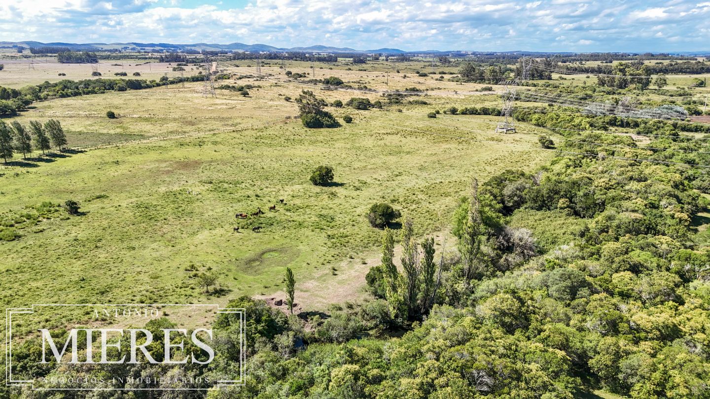 Quinta EN VENTA