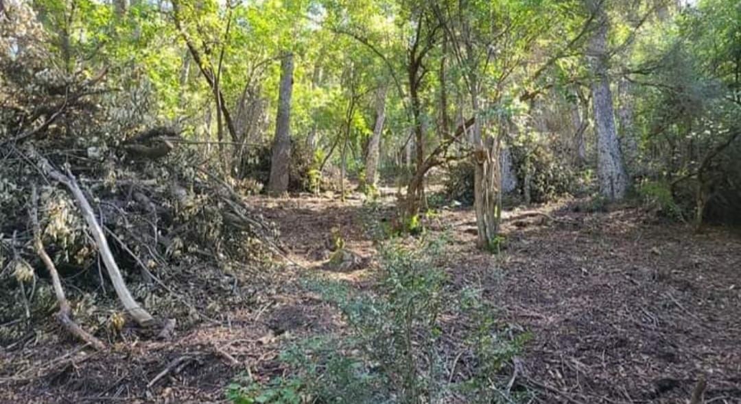 Lote EN VENTA