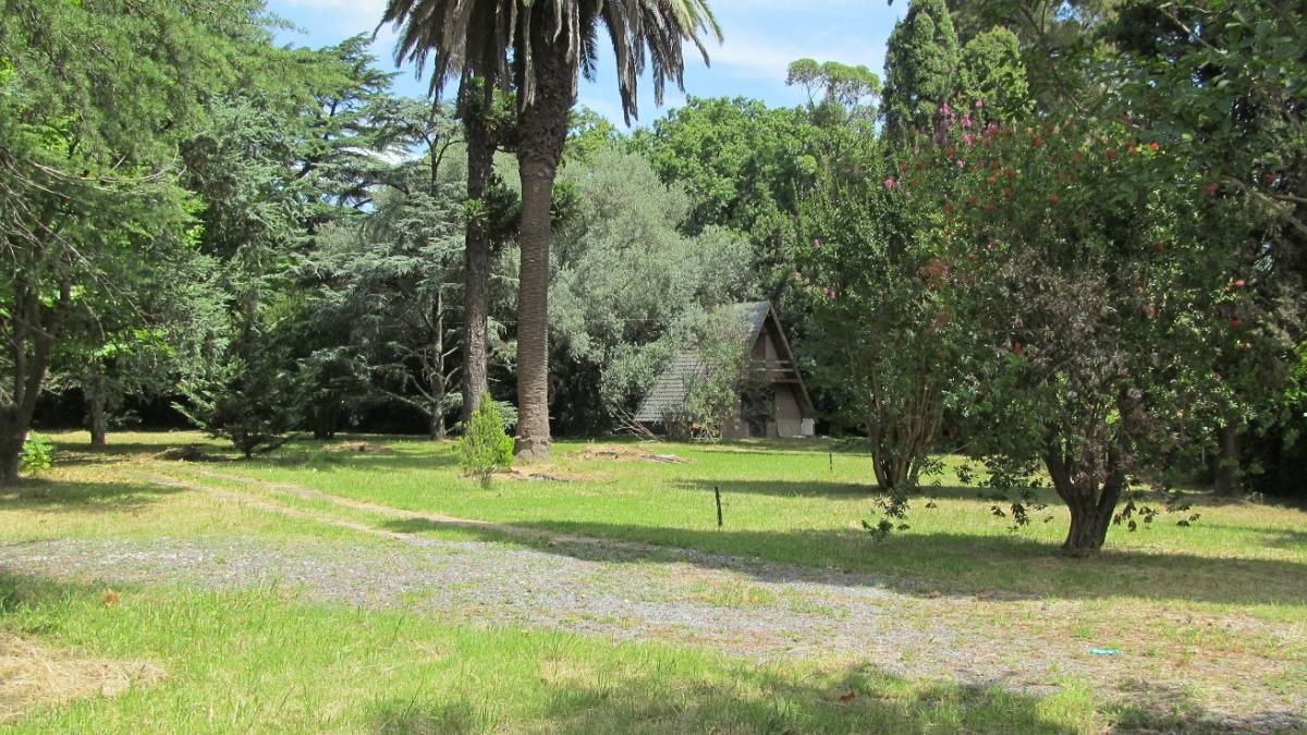 Finca 6.780 M2. Chalet a reciclar. ESPECTACULAR jardín. En l - 2