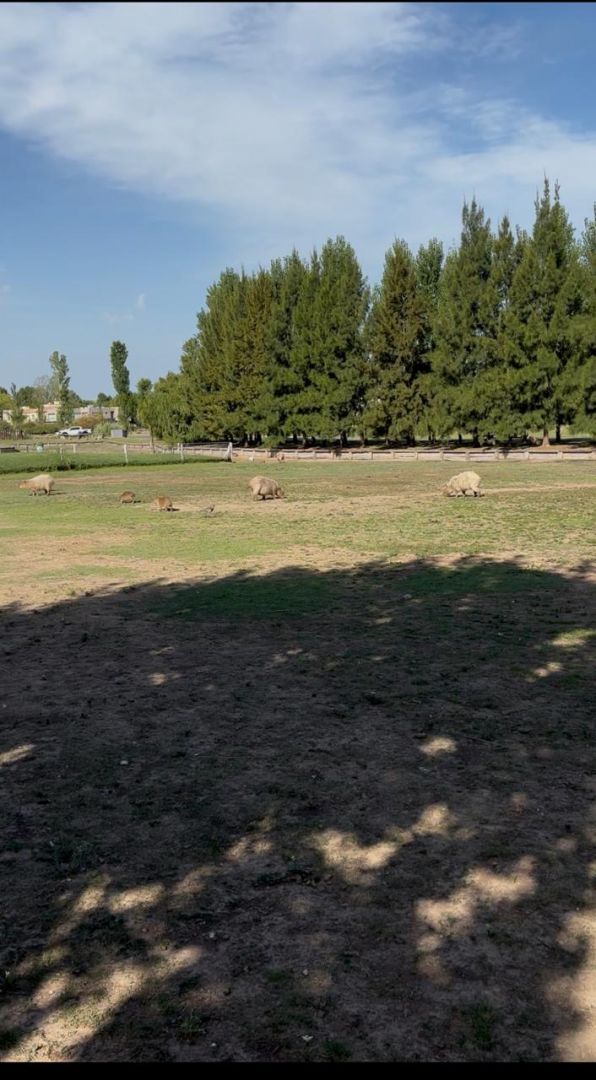 Lote EN VENTA