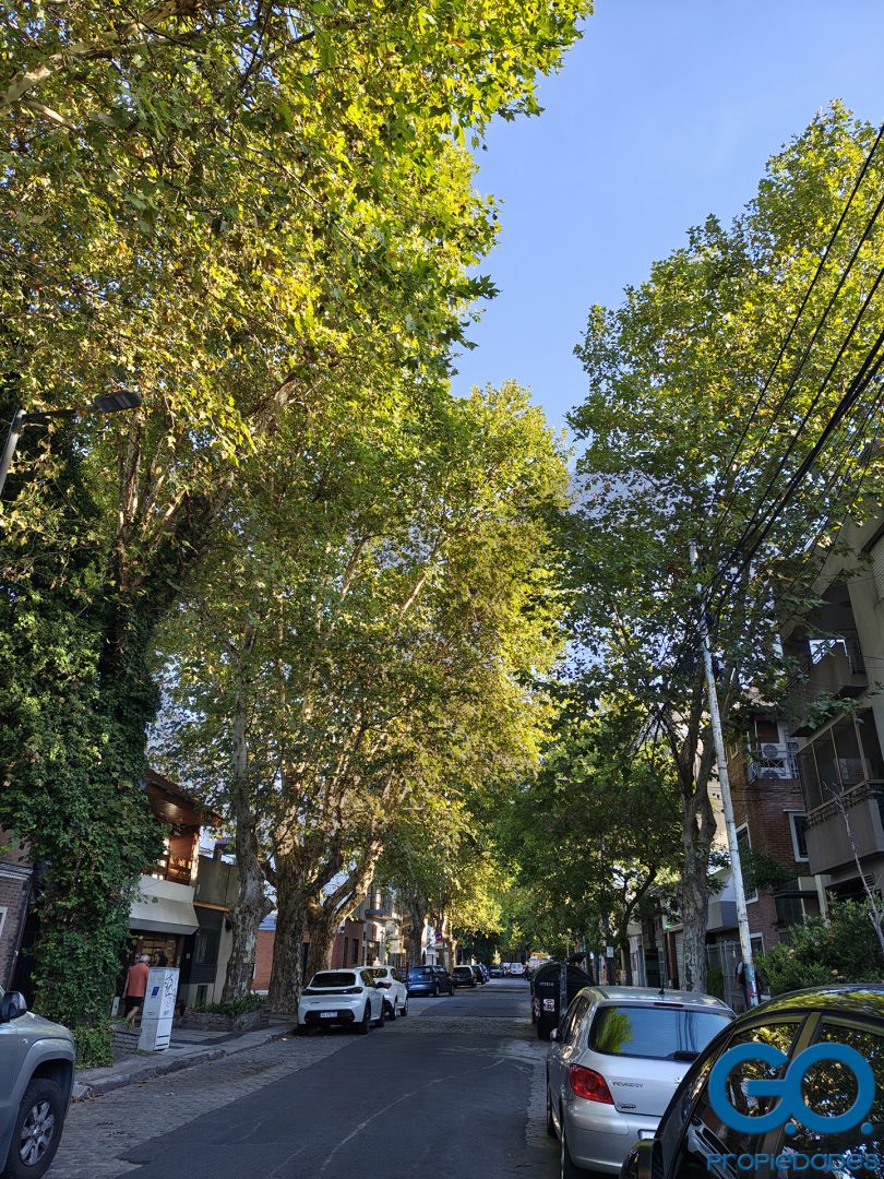 Lote en Venta en Villa Ortuzar, Capital Federal
