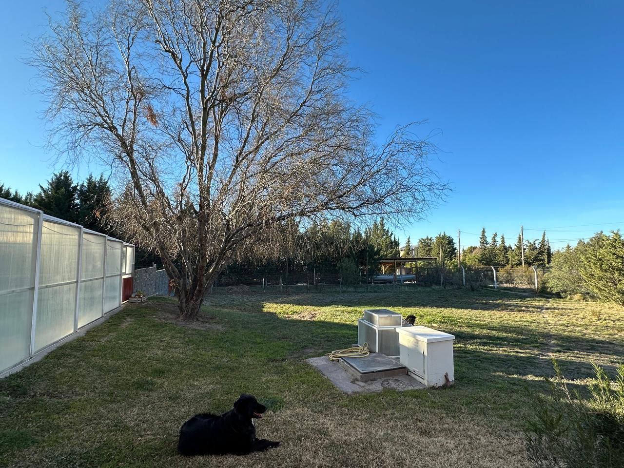 Quinta EN VENTA