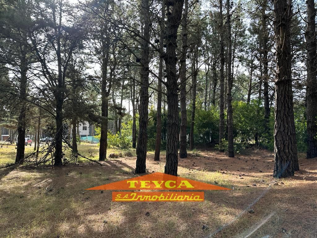 Lote en venta Golf Nuevo 0 ambientes