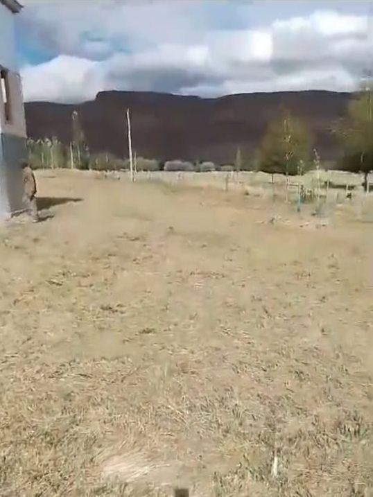 Campo EN VENTA