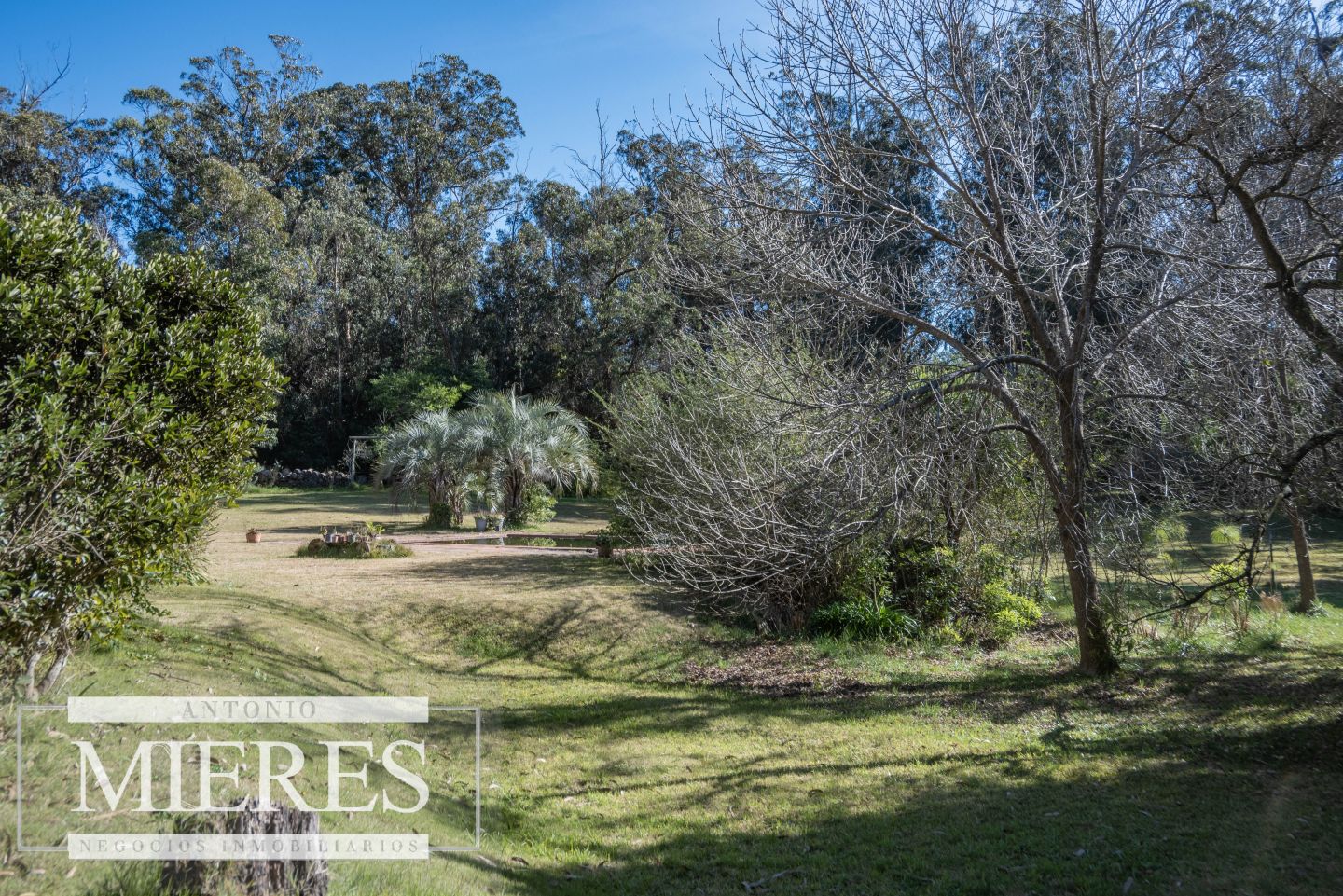 Quinta EN VENTA