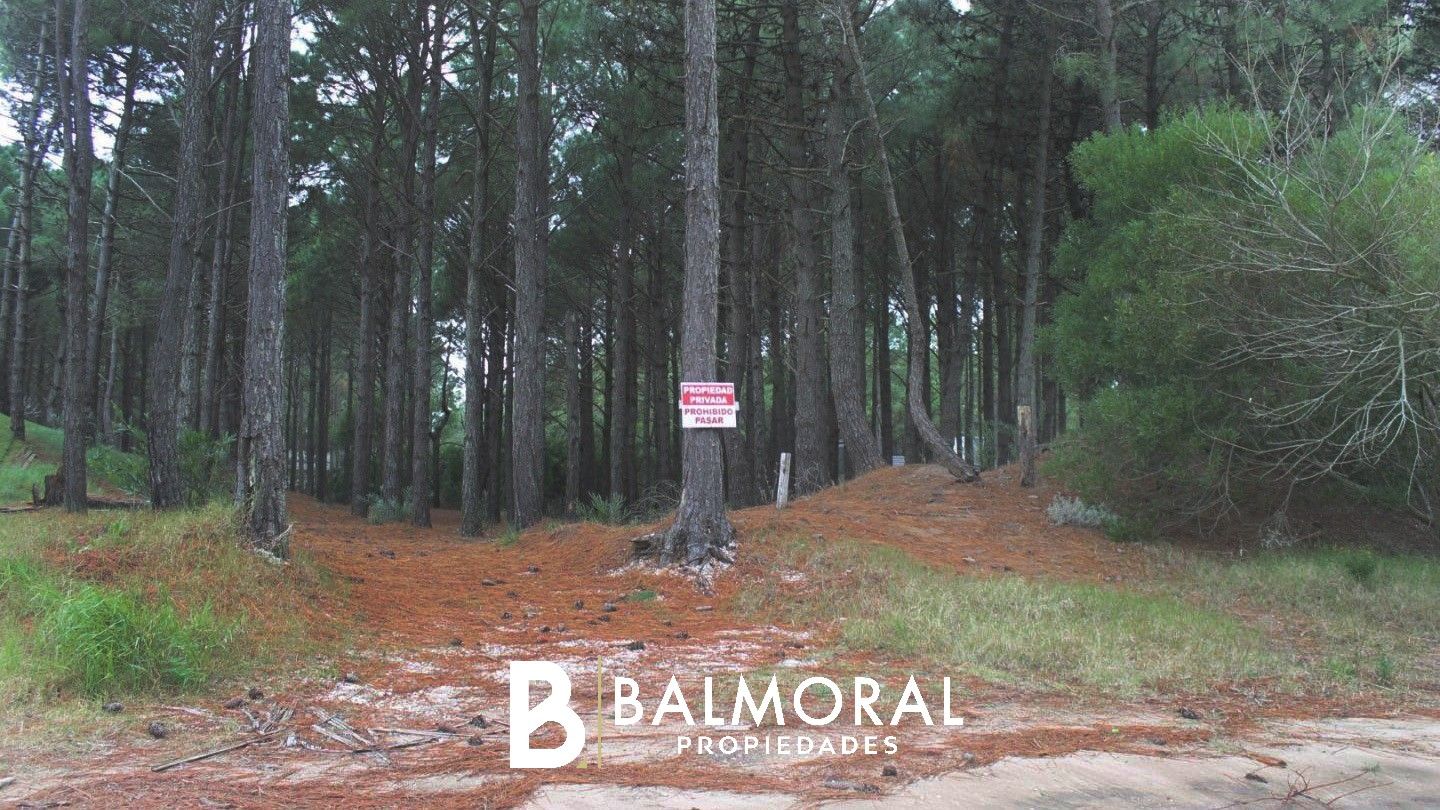 Lote EN VENTA