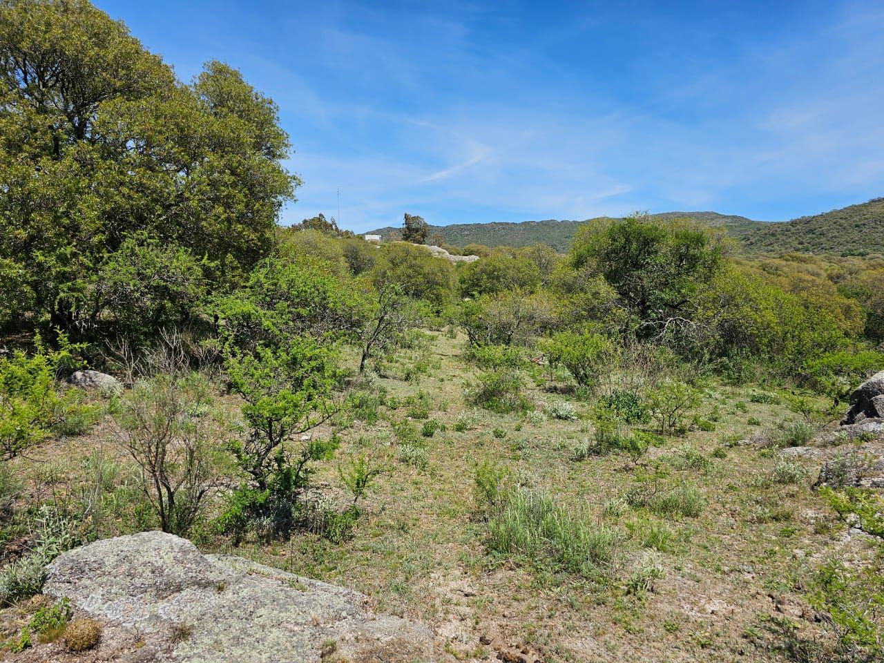 Lote EN VENTA