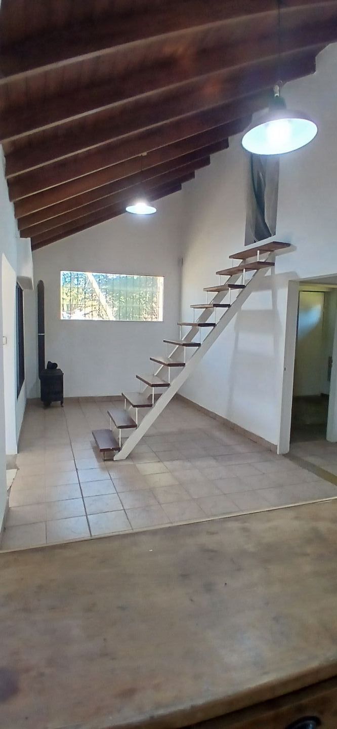 Imagen 4