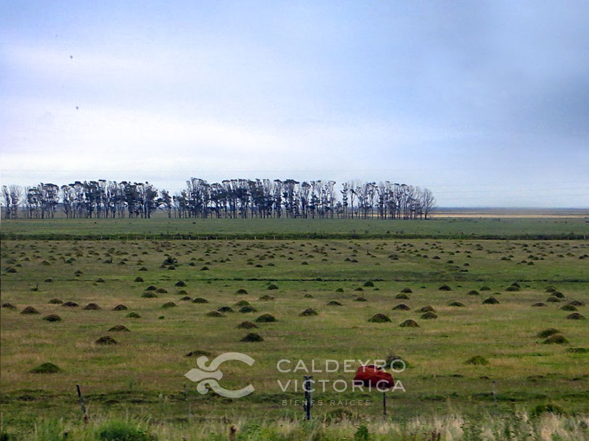 Campo EN VENTA