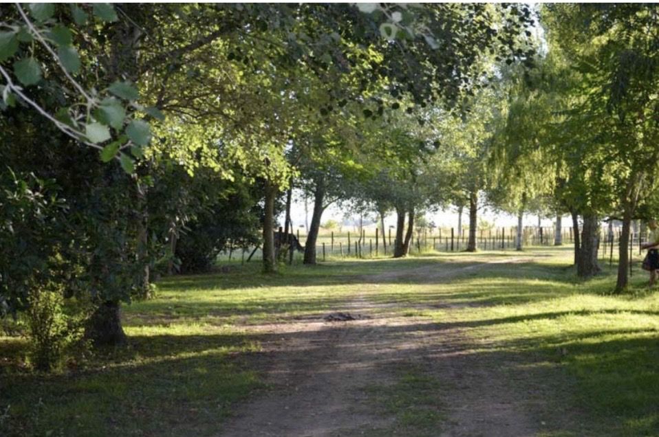 Campo EN VENTA