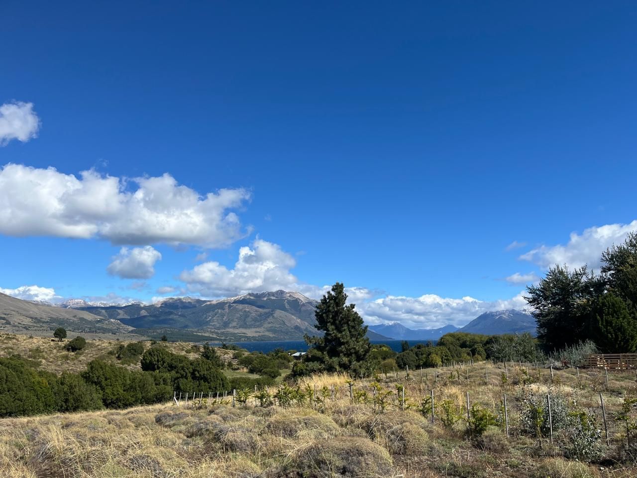 Lote en Venta en Huiliches, Neuquen