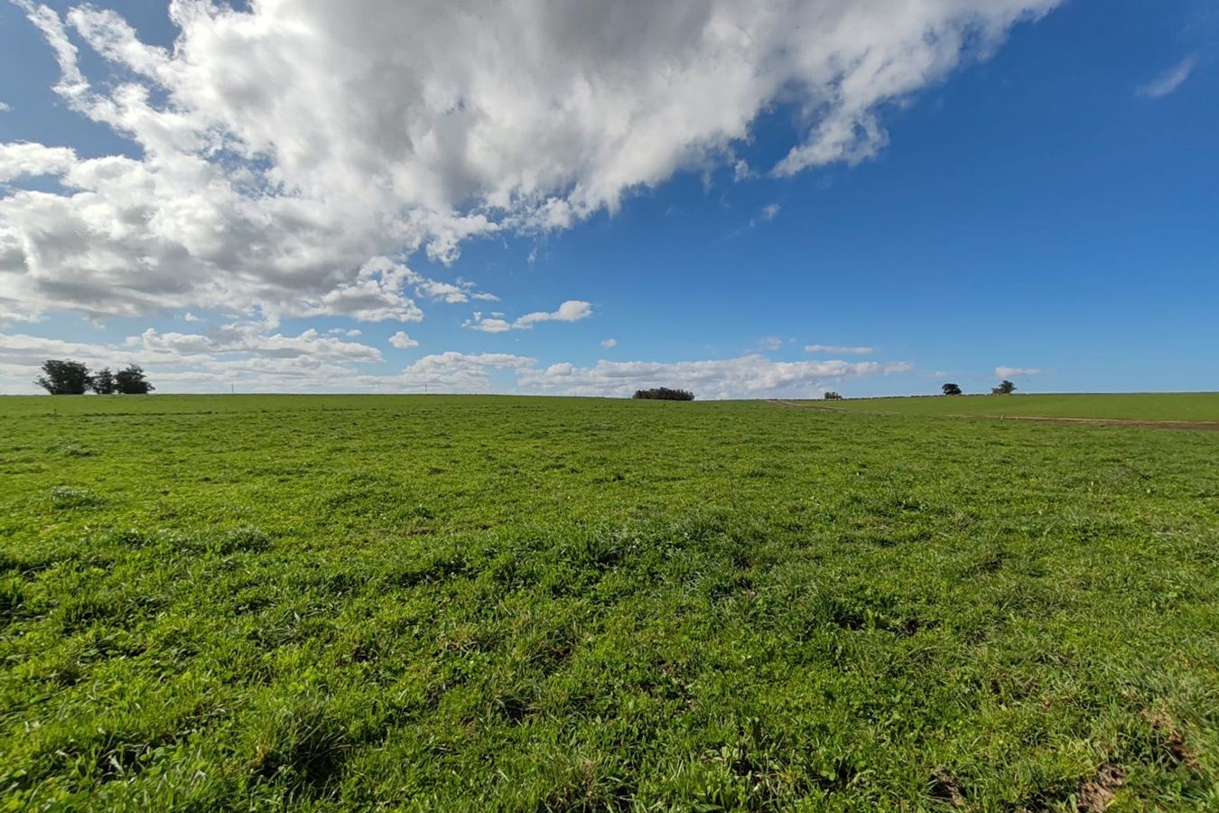 Campo EN VENTA
