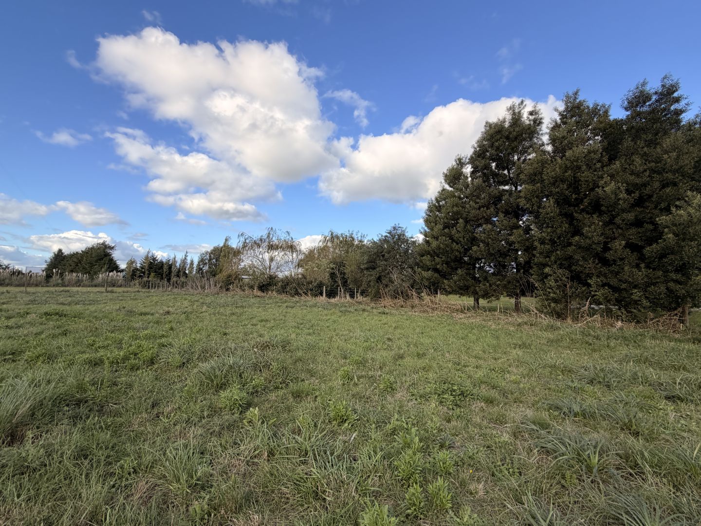 Lote EN VENTA