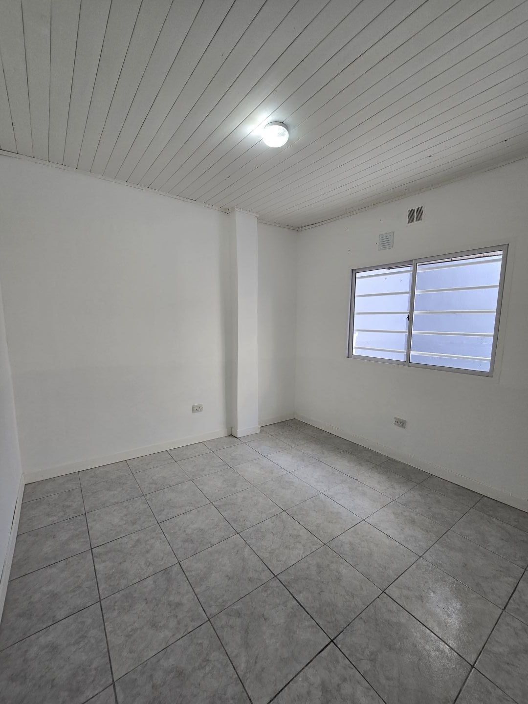 Imagen 22