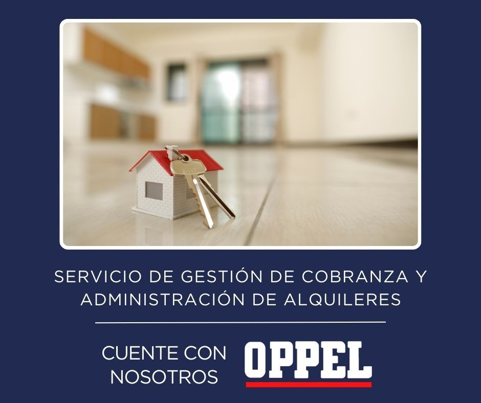 Imagen 19