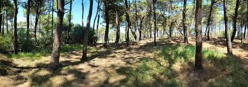 Lote en Venta en Pinamar, Buenos Aires Costa Atlantica