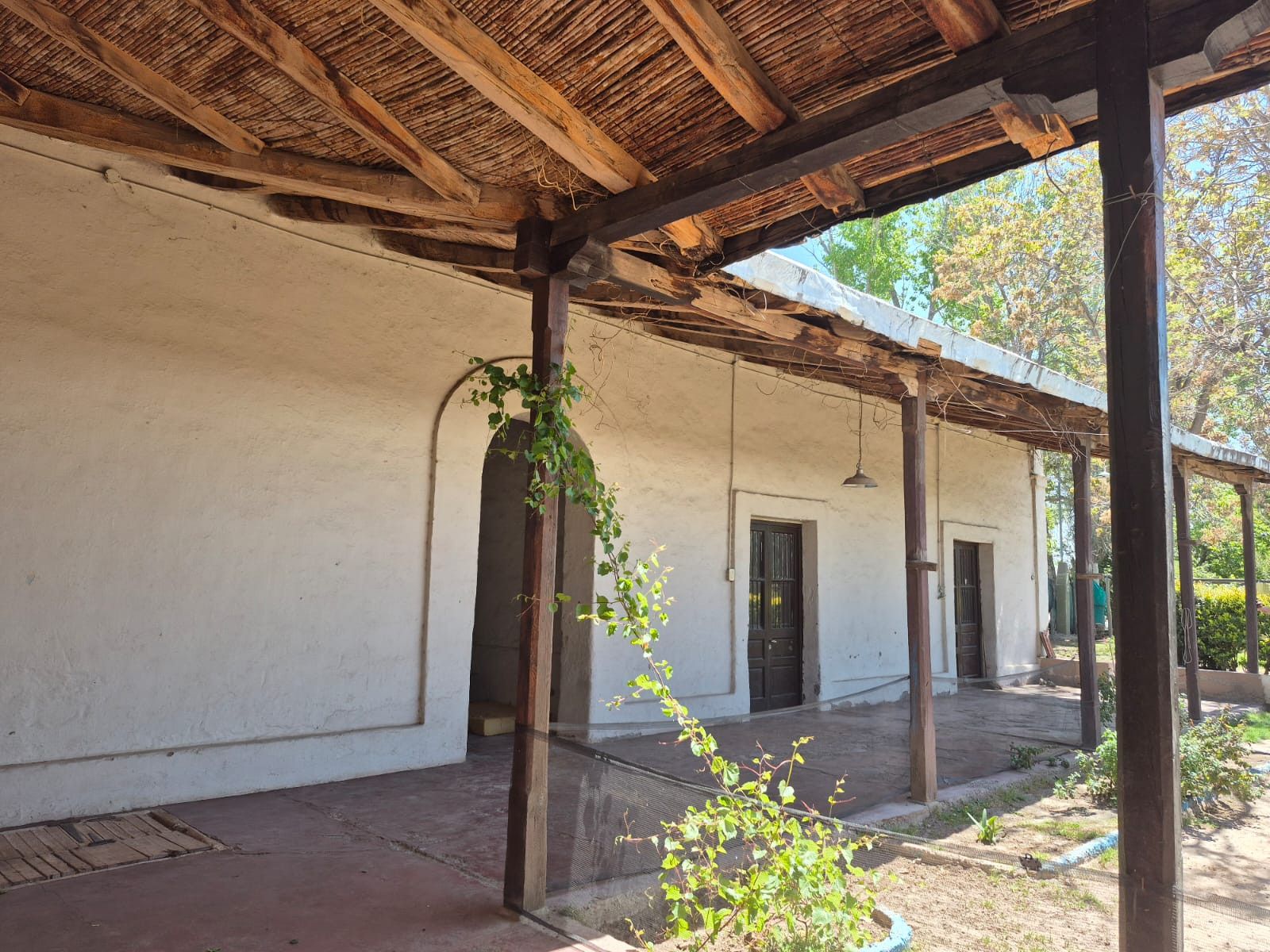Campo en Venta en Maipu, Mendoza