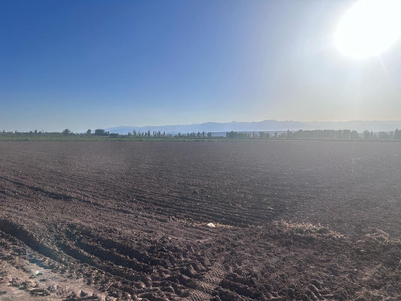 Casa Quinta en Venta en Lavalle, Mendoza