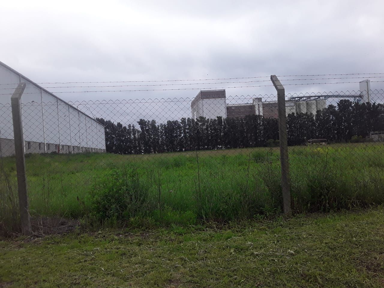 Imagen 6