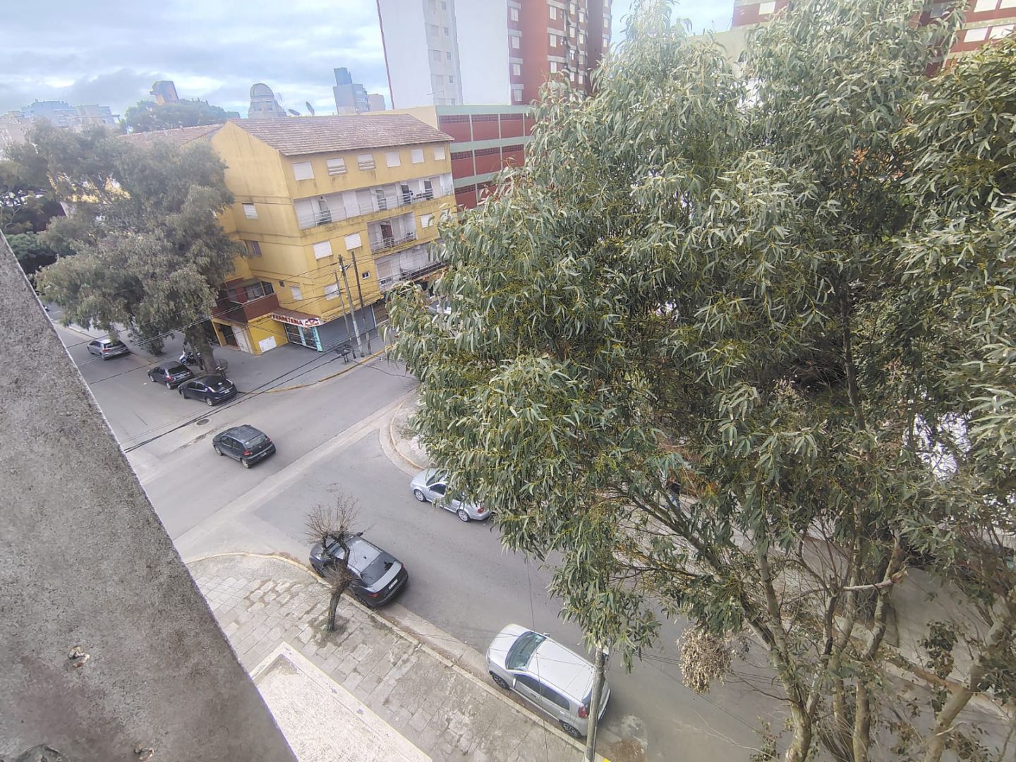 Imagen 18