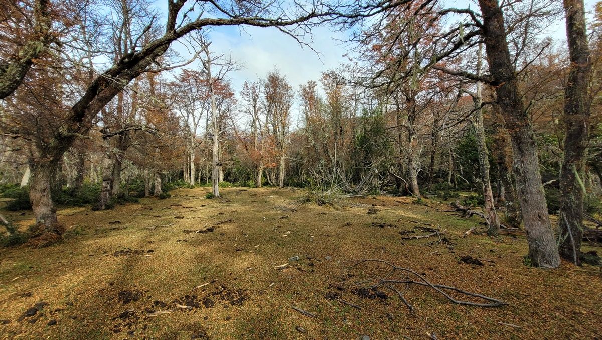 Campo EN VENTA
