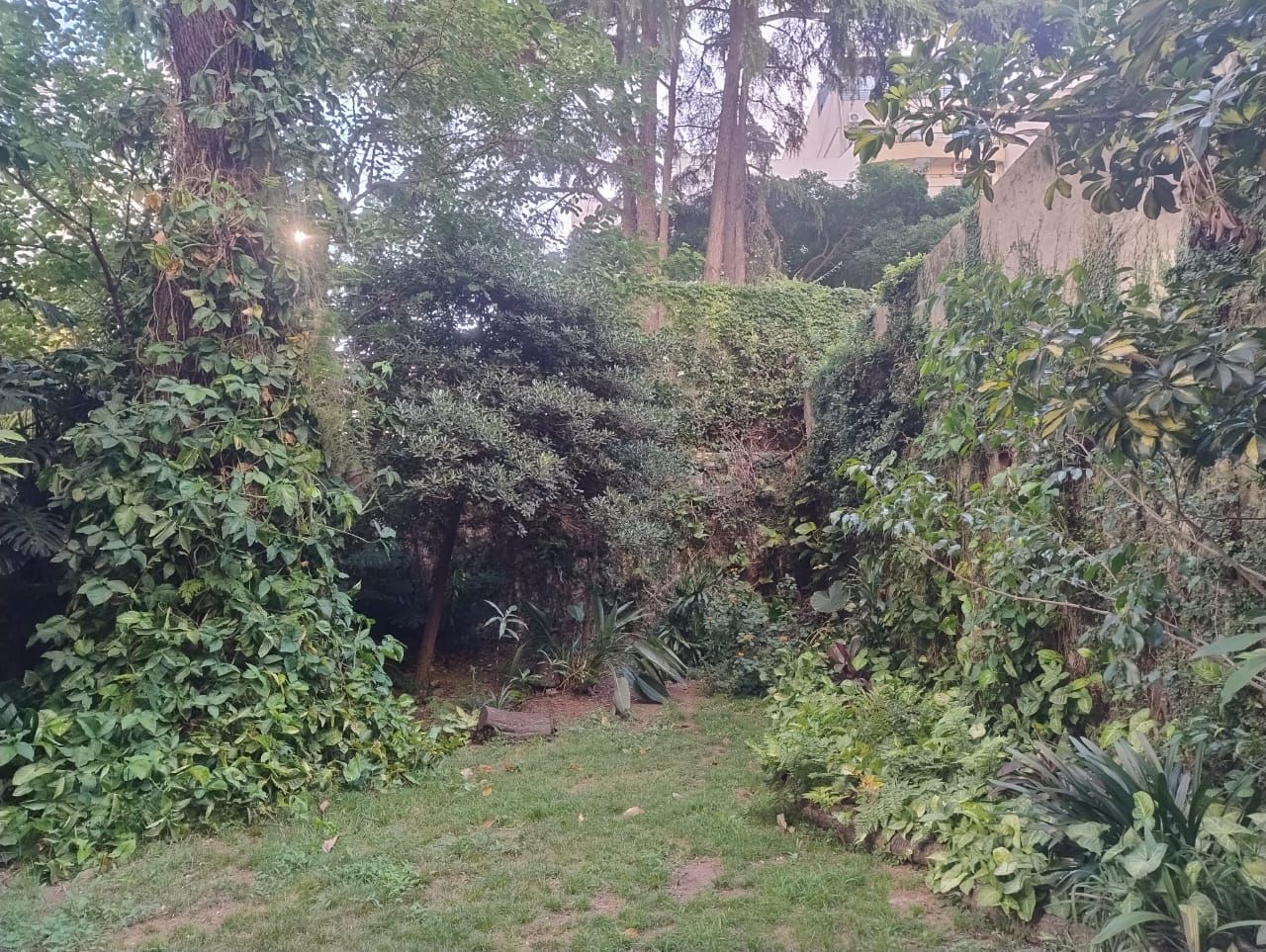 ALQUILER DE DEPARTAMENTO EN Capital Federal - Belgrano - 11