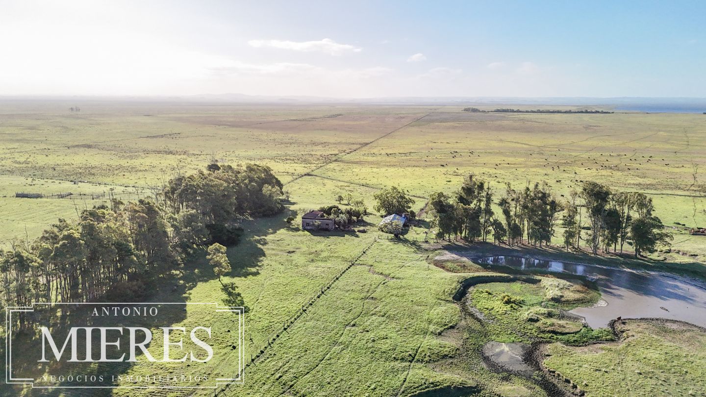 Campo EN VENTA