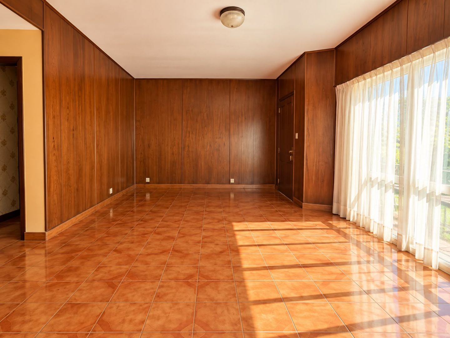 Imagen 7