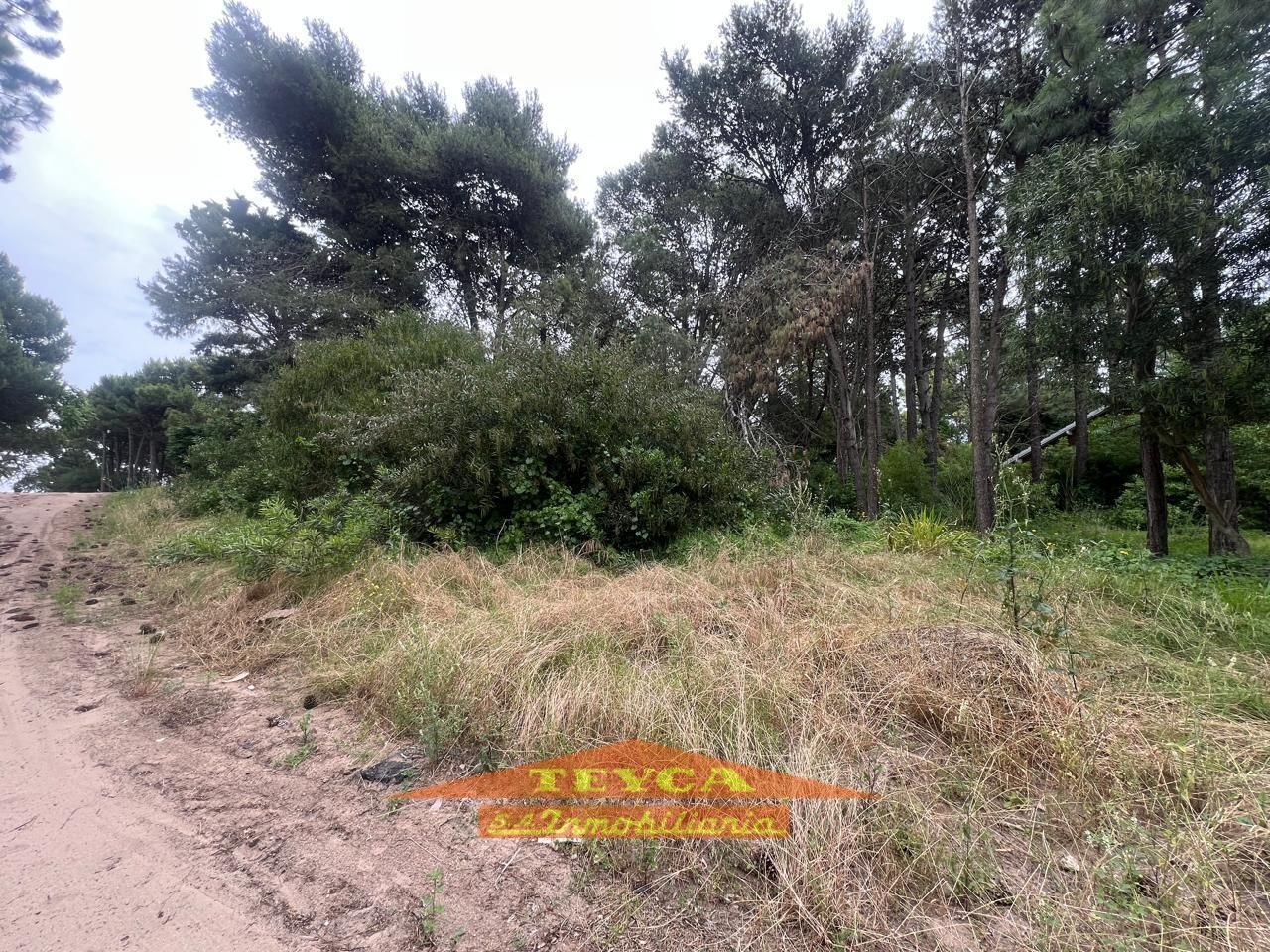 Lote en venta B5 0 ambientes