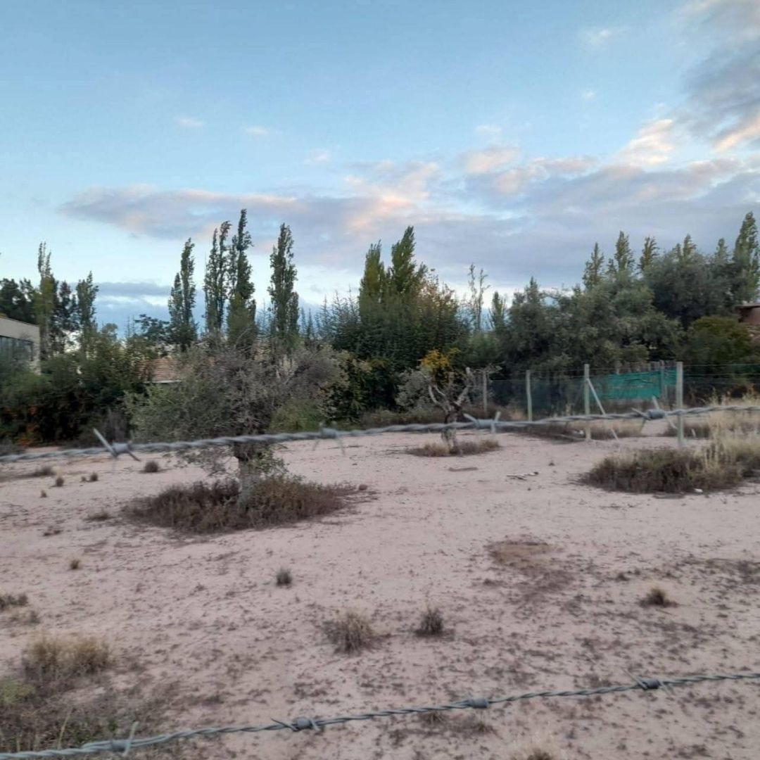 local en alquiler de  en olivos, vicente lópez
