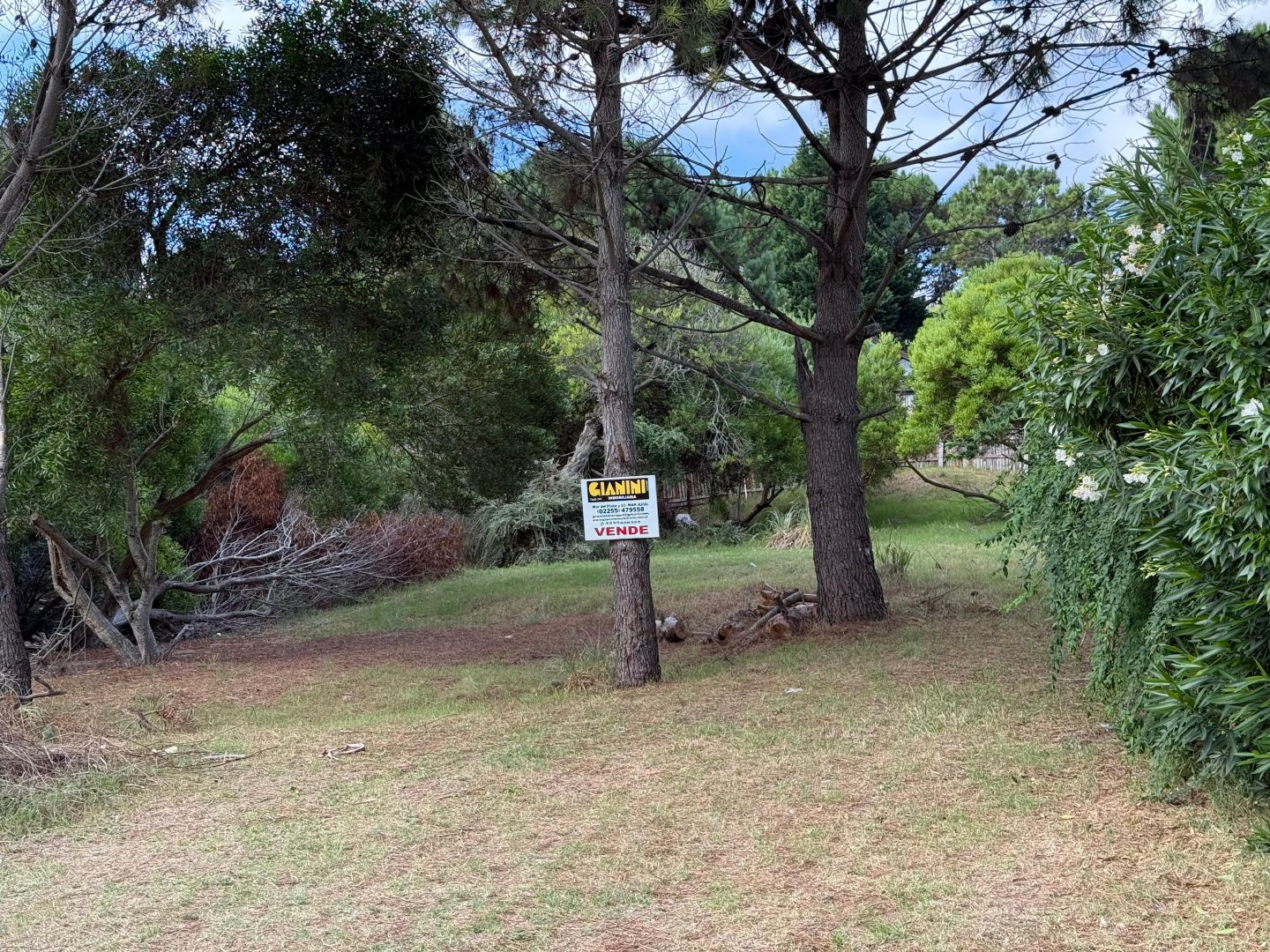 Lote EN VENTA