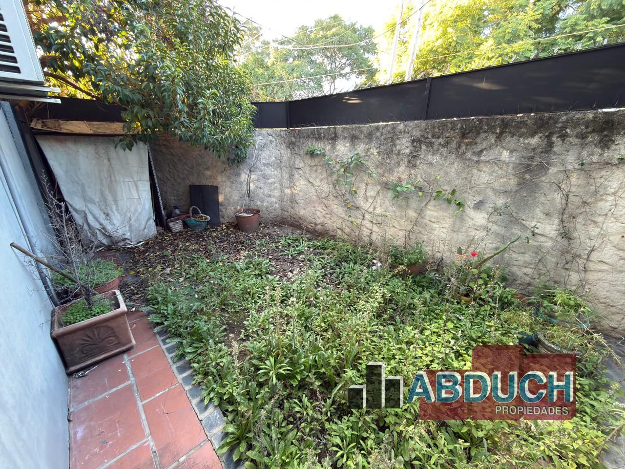 Imagen 24