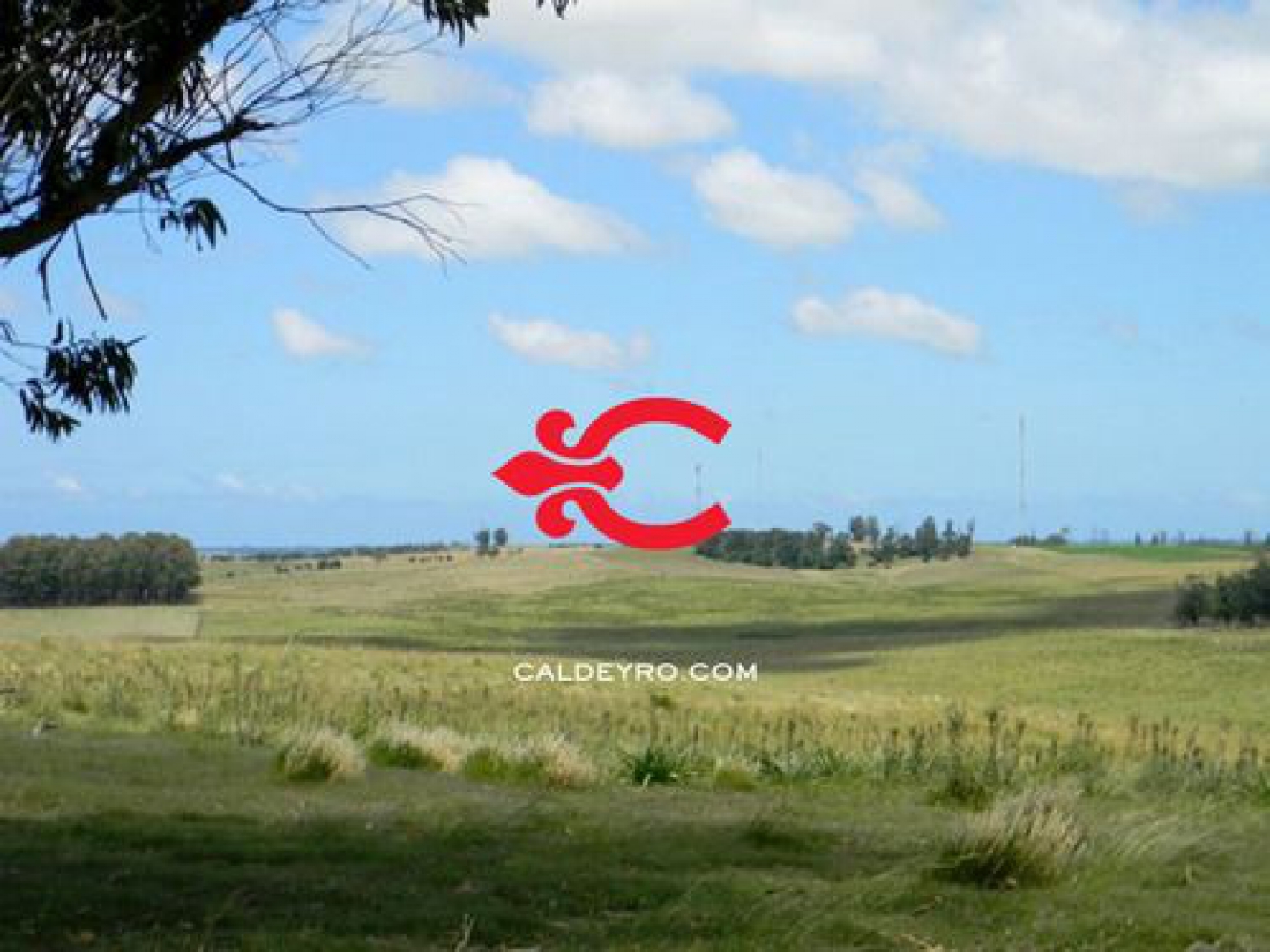 Campo EN VENTA
