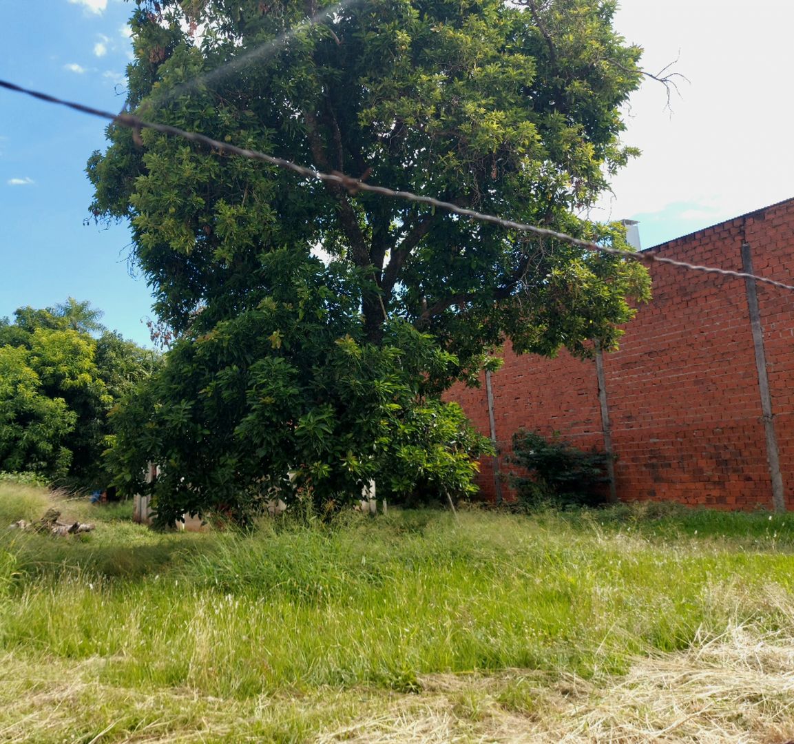 Lote EN VENTA