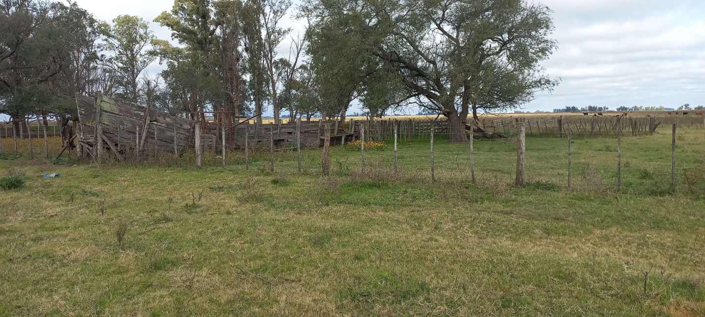 Campo EN VENTA
