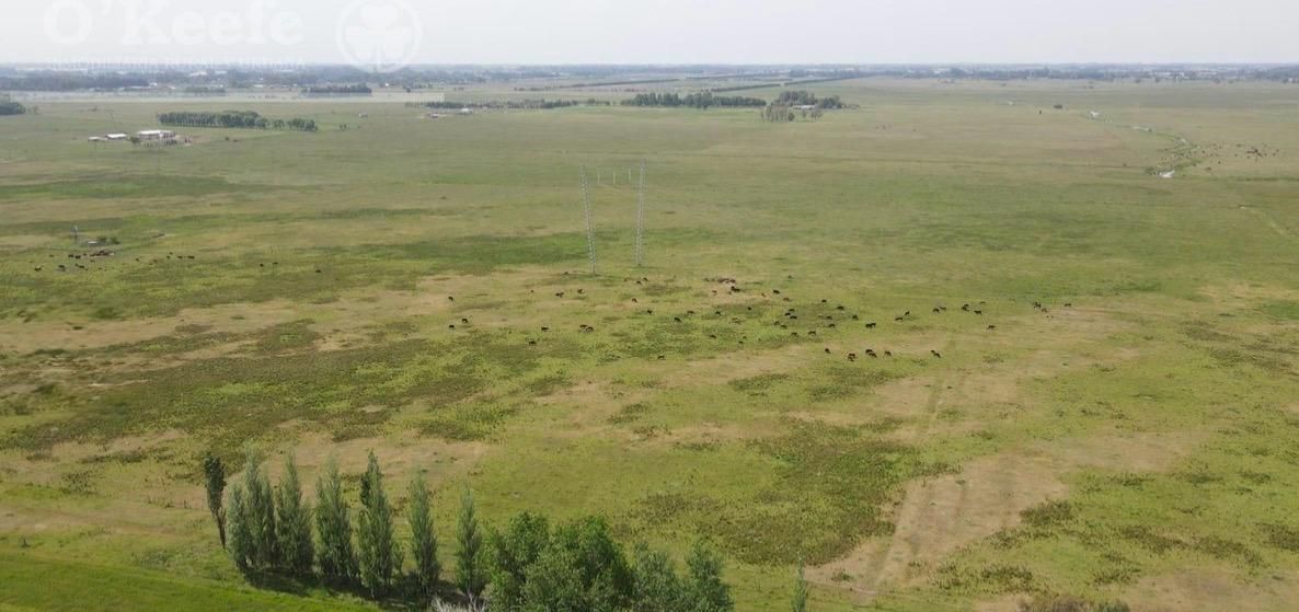 Campo EN VENTA