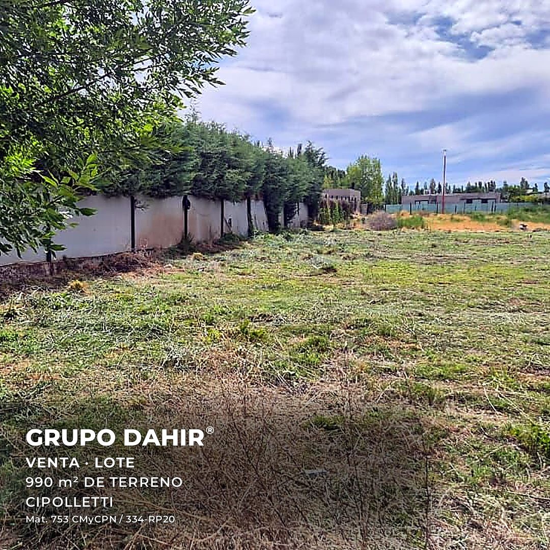Lote en Manzanares de Gines, Cipolletti — foto 1