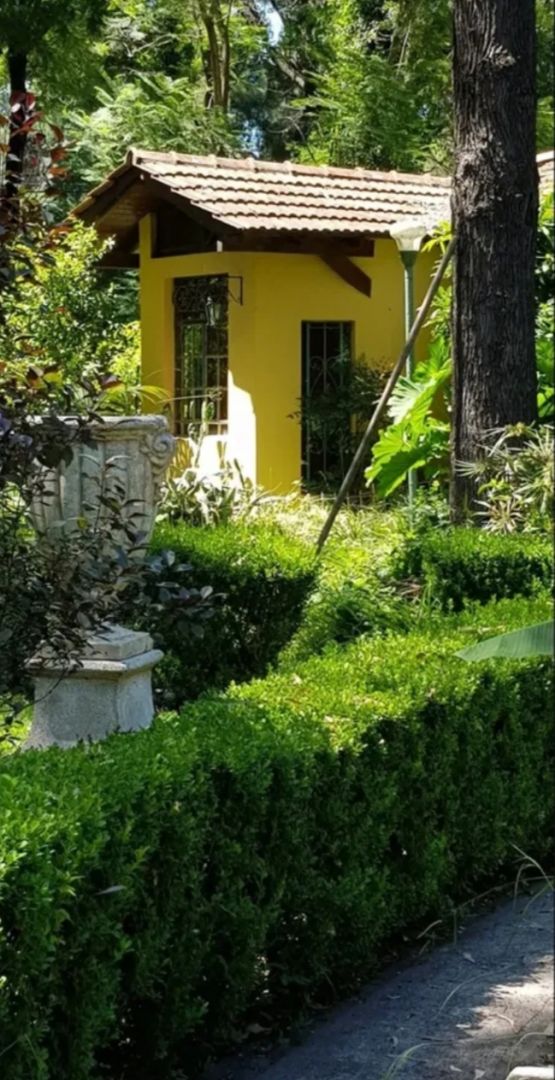 Imagen 6